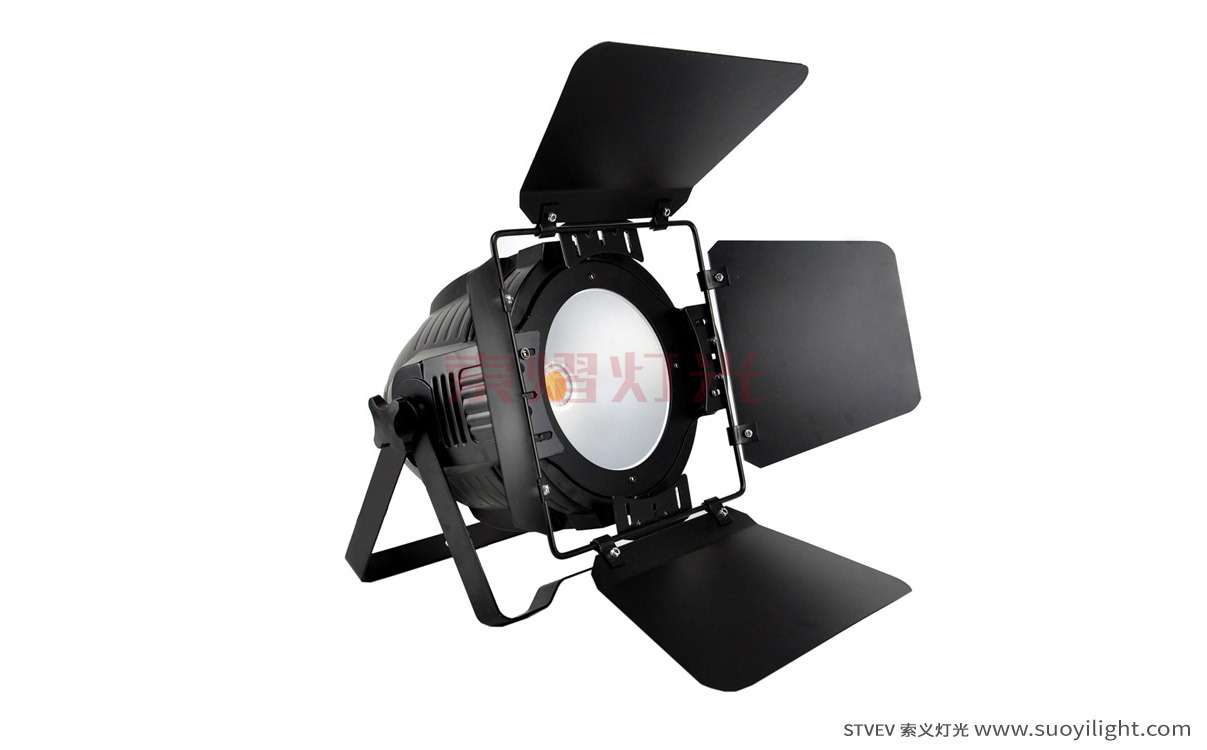 Ukraine200W COB LED Par Light