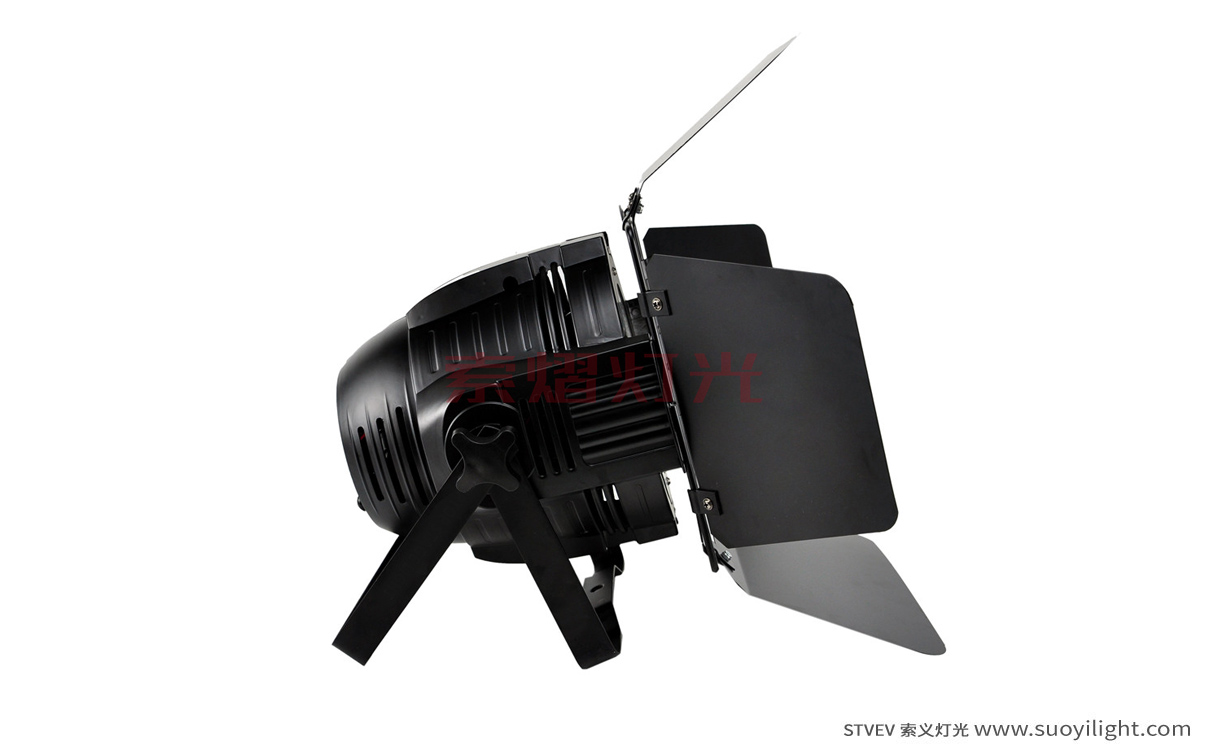 Ukraine200W COB LED Par Light