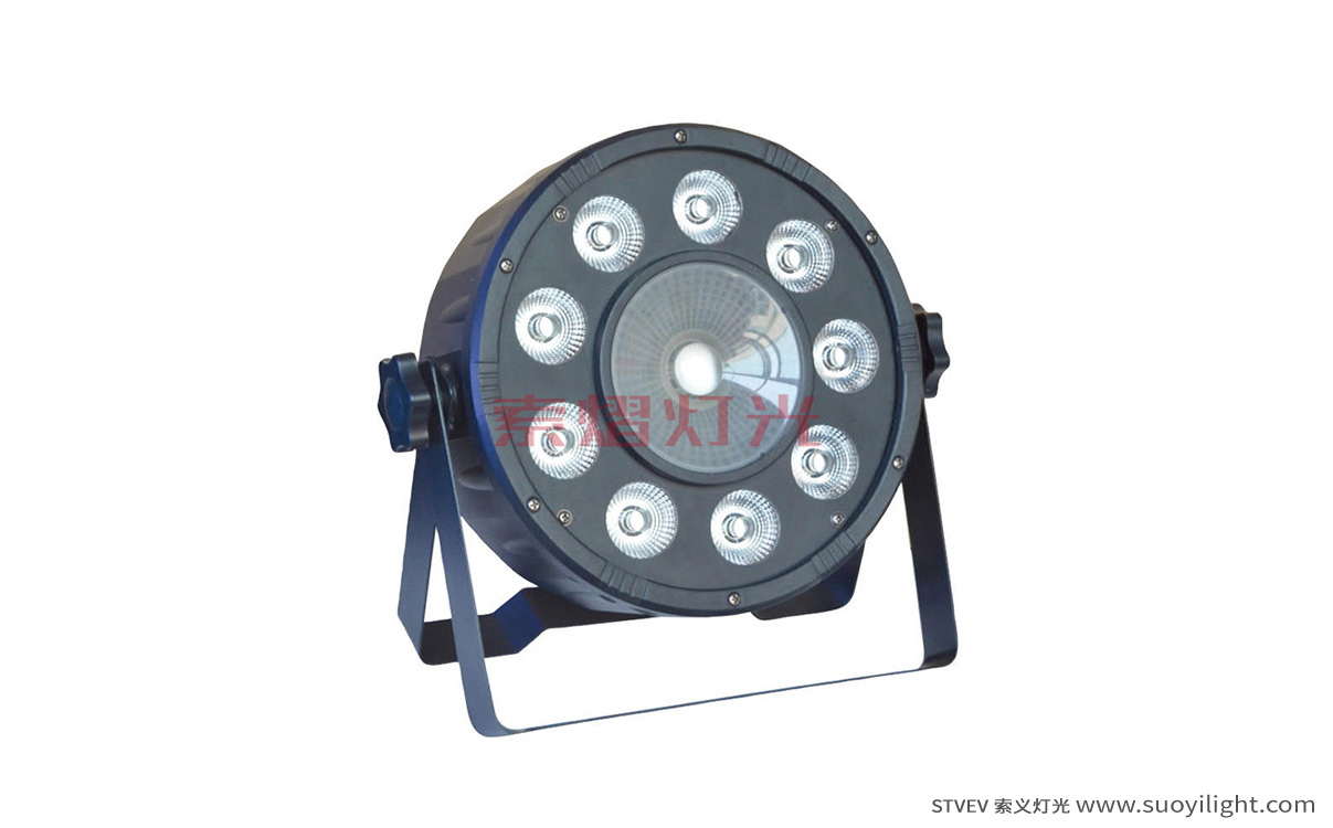 Ukraine9+1 LED Plastic Par Light