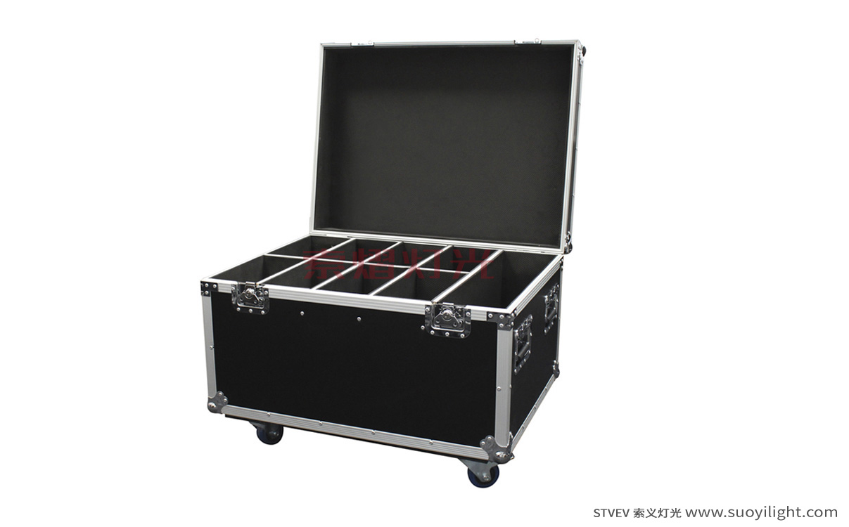 Ukraine8in1 Par Light Flight Case