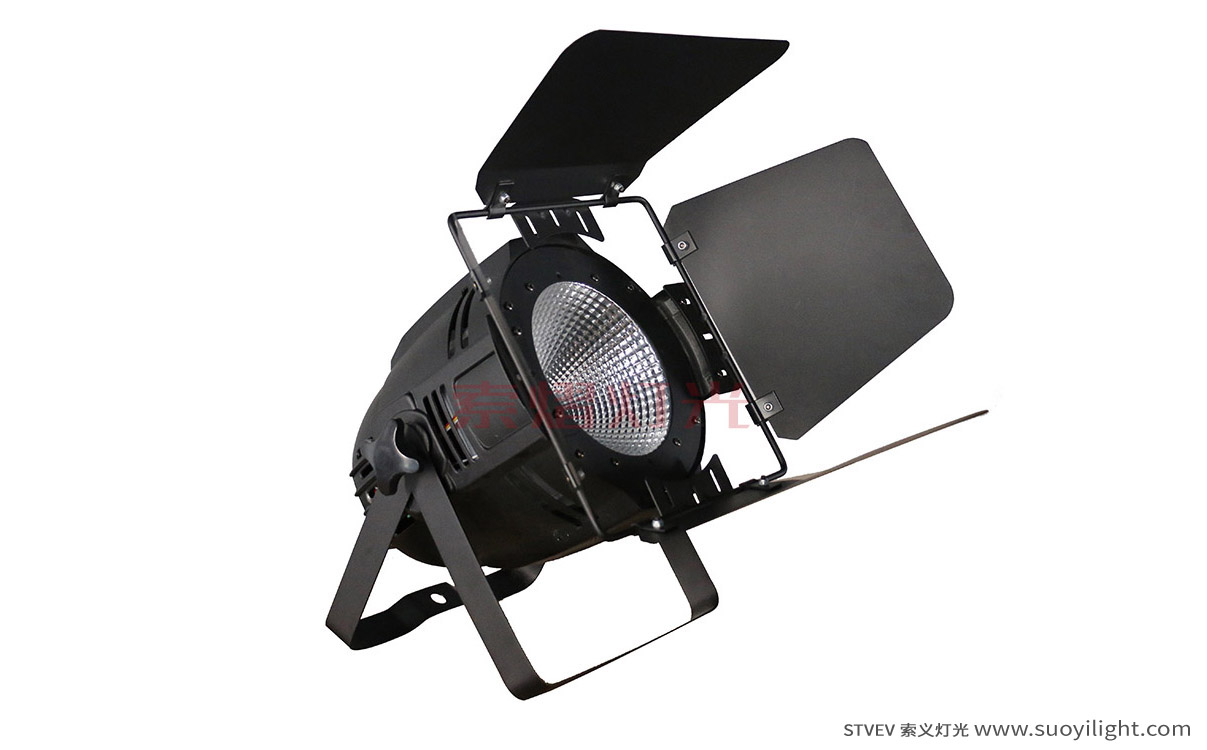 Ukraine100W LED COB Par Light