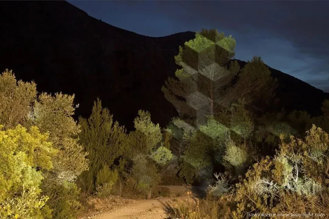 Ukraine奥斯坦基诺公园亮化