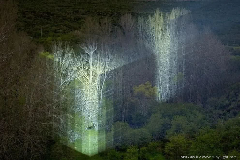 Ukraine奥斯坦基诺公园亮化